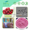 Natural Acerola Extract Powder VC17%,25% CAS: 223747-63-5 China Manufacturer